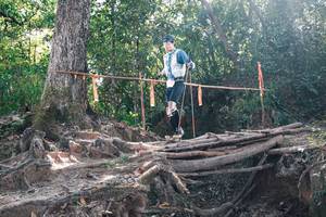 BIB: 
                            <button type="button" onclick="openModal(27748395)" class="btn btn-primary btn-sm float-right btn-popup" data-toggle="modal" data-target=".modal-high-quality">
                        <i class="fas fa-shopping-cart"></i> Add to Cart
                    </button>
                                            <button type="button" onclick="isThisMe(27748395, true)" class="btn btn-success btn-sm float-right btn-popup btn-isme hidden" data-toggle="tooltip" data-placement="bottom" title="นี่คือรูปของคุณใช่ไหม คลิกที่นี่เพื่อเอาเข้าอัลบั้ม">
                        <i class="fas fa-plus"></i> Add to album
                    </button>
                    <button type="button" onclick="isThisMe(27748395, false)" class="btn btn-warning btn-sm float-right btn-popup btn-isnotme hidden">
                        <i class="fas fa-ban"></i> Remove from album
                    </button>